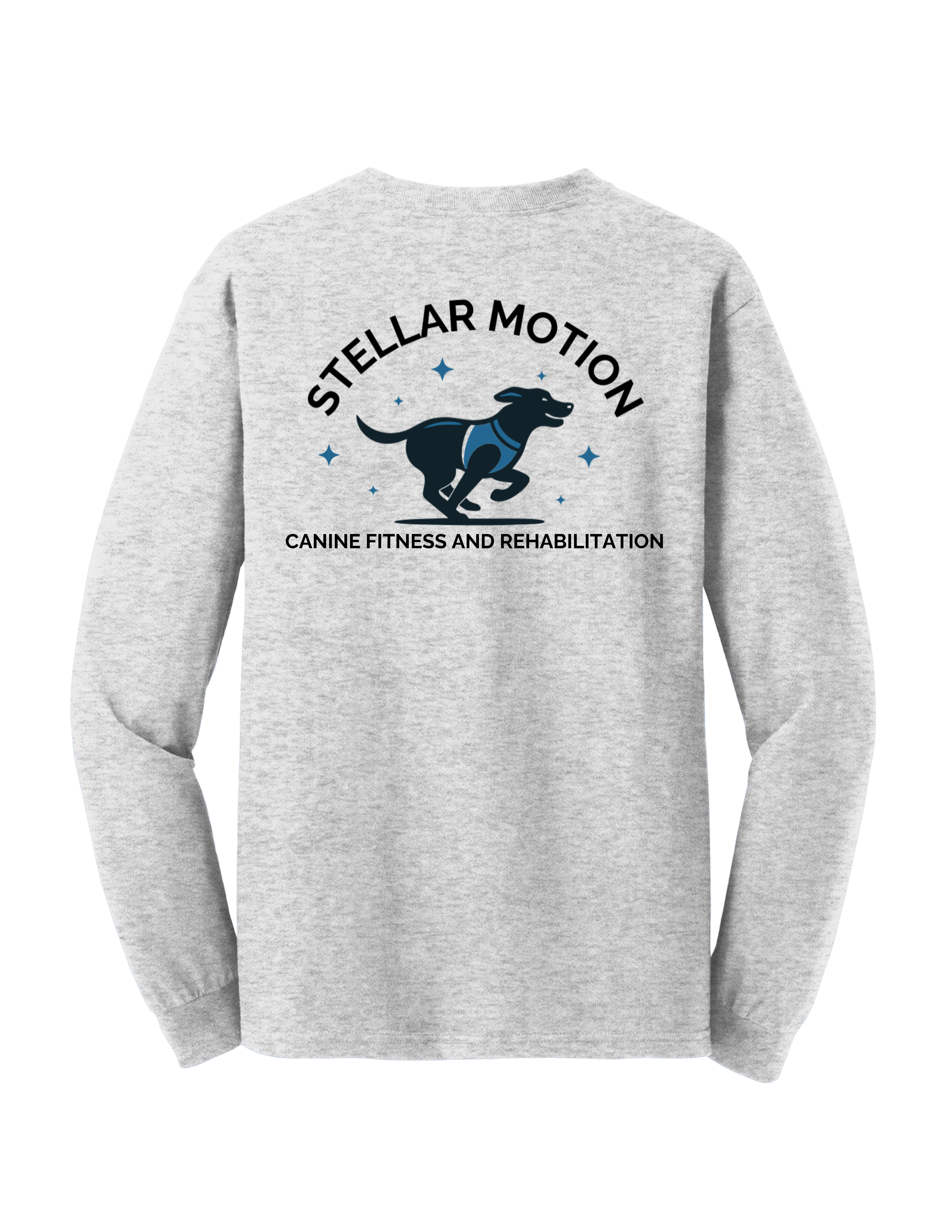 Stellar Motion Ash Grey Long Sleeve