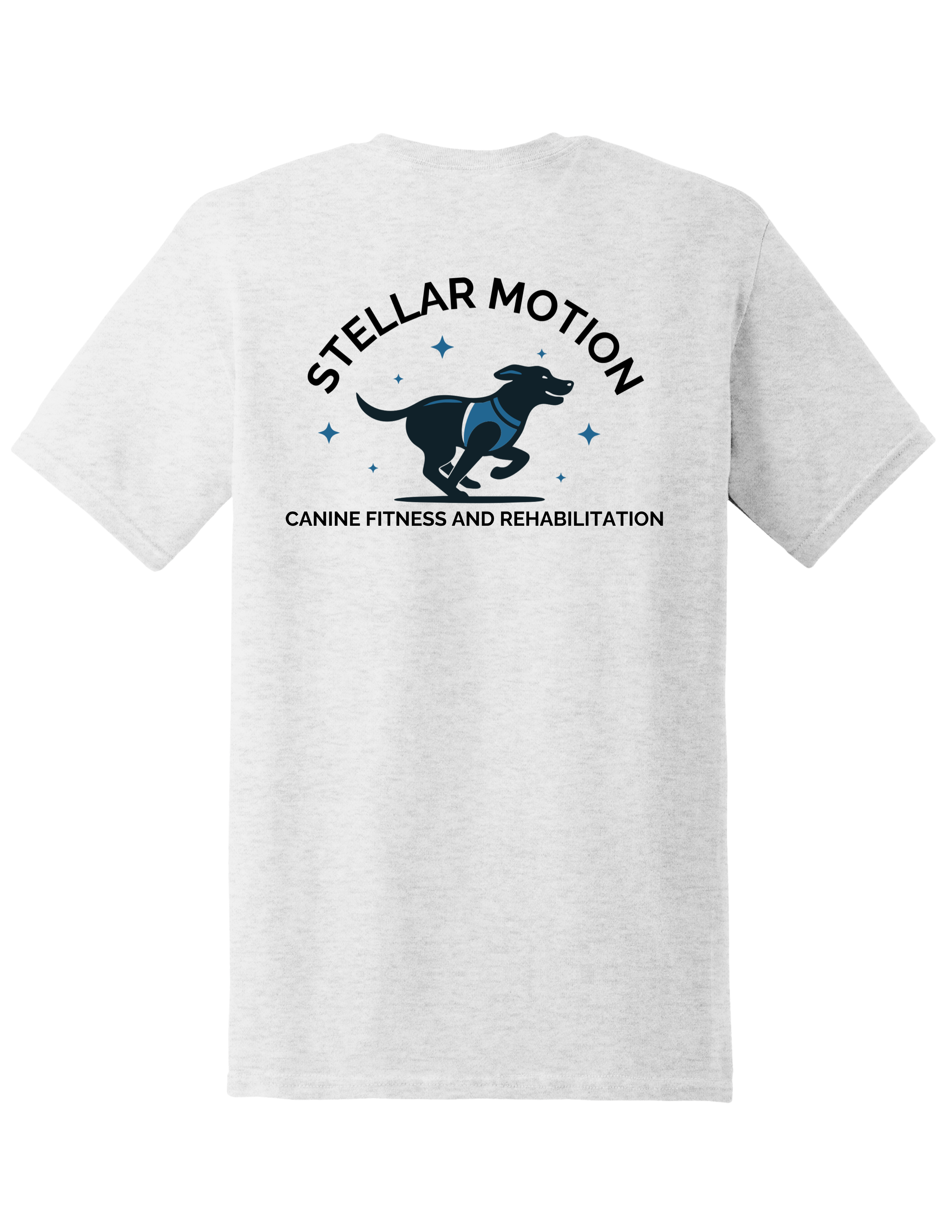 Stellar Motion Ash Grey Tee