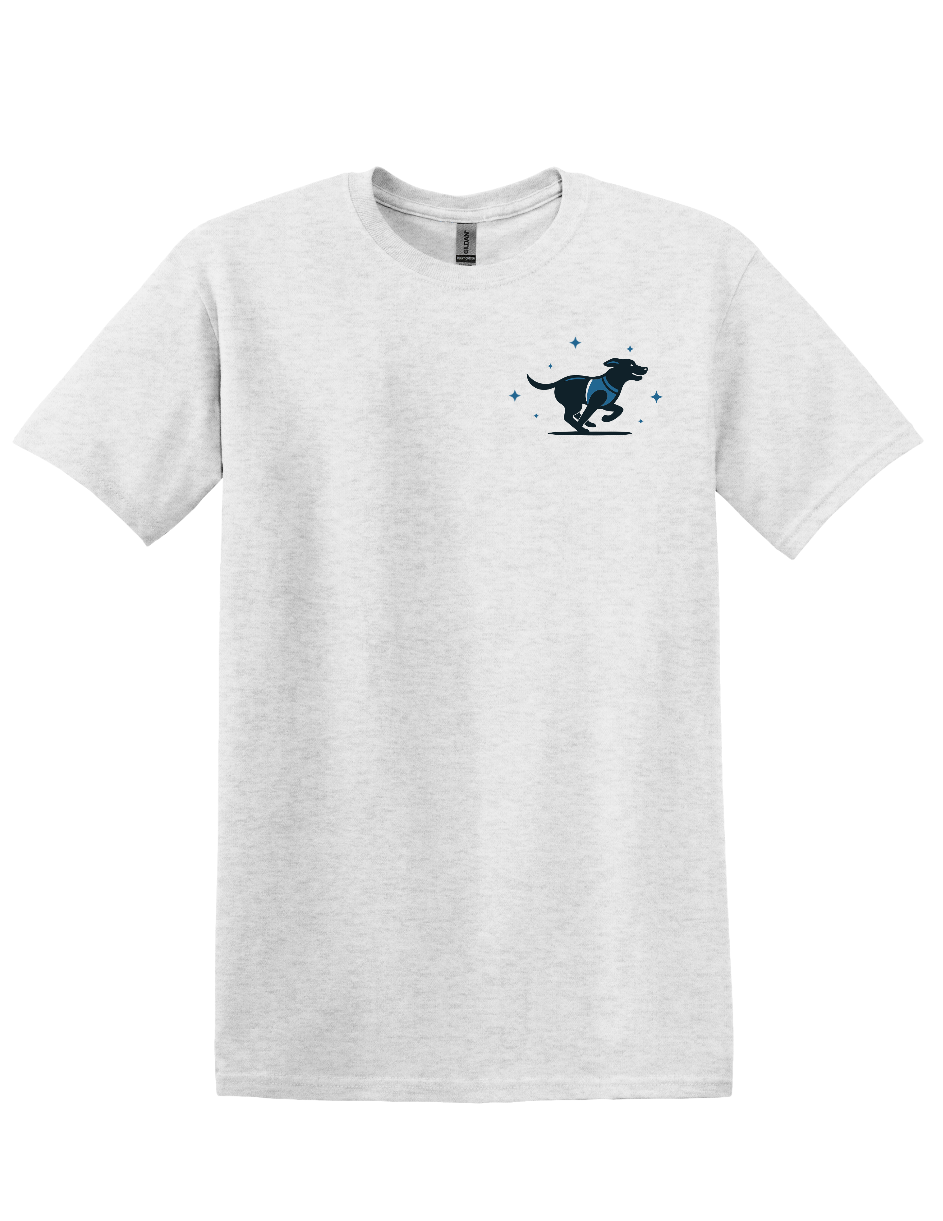 Stellar Motion Ash Grey Tee