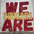 "We Are Cougars"