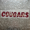 "Lakewood Cougars"