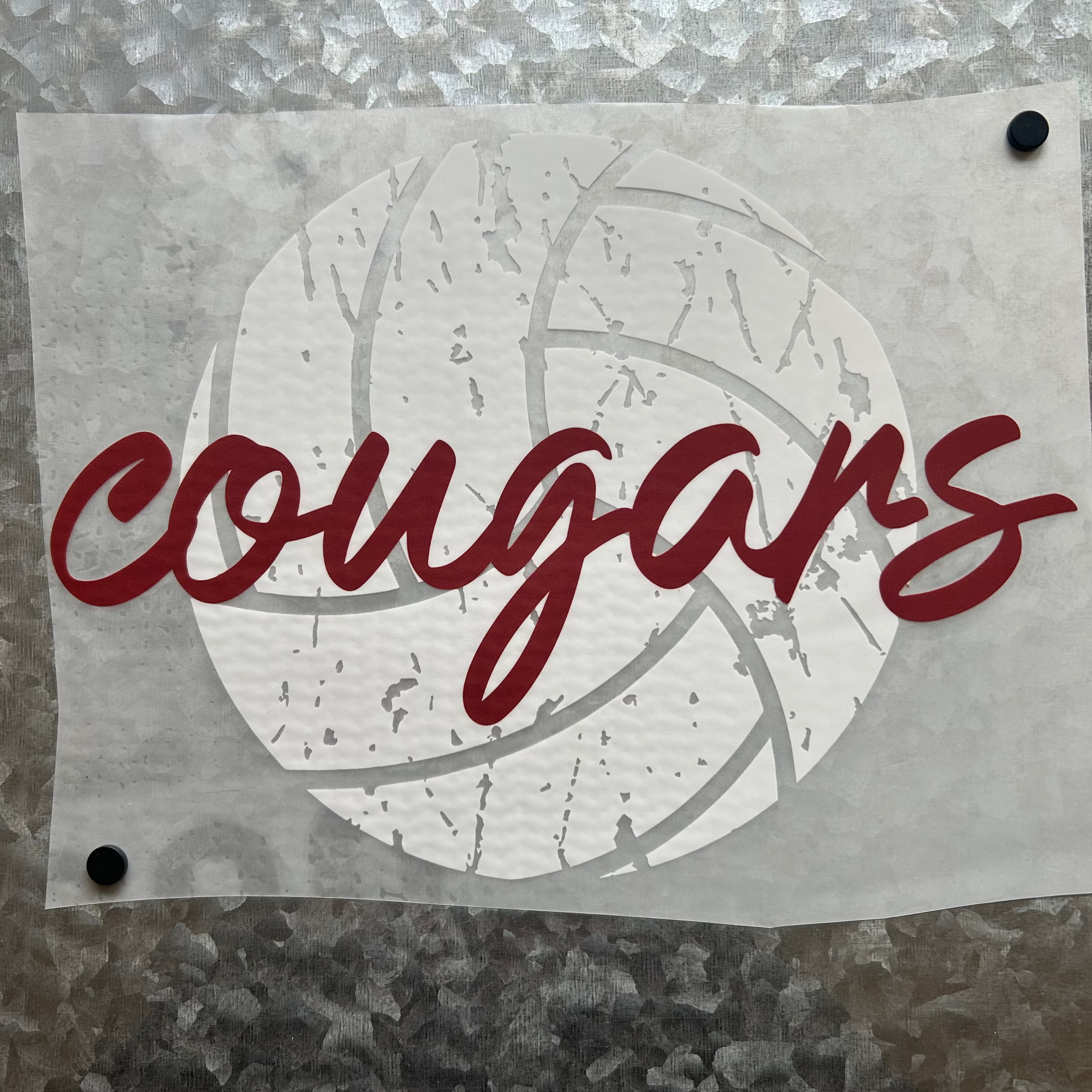 Cougars (Volleyball)