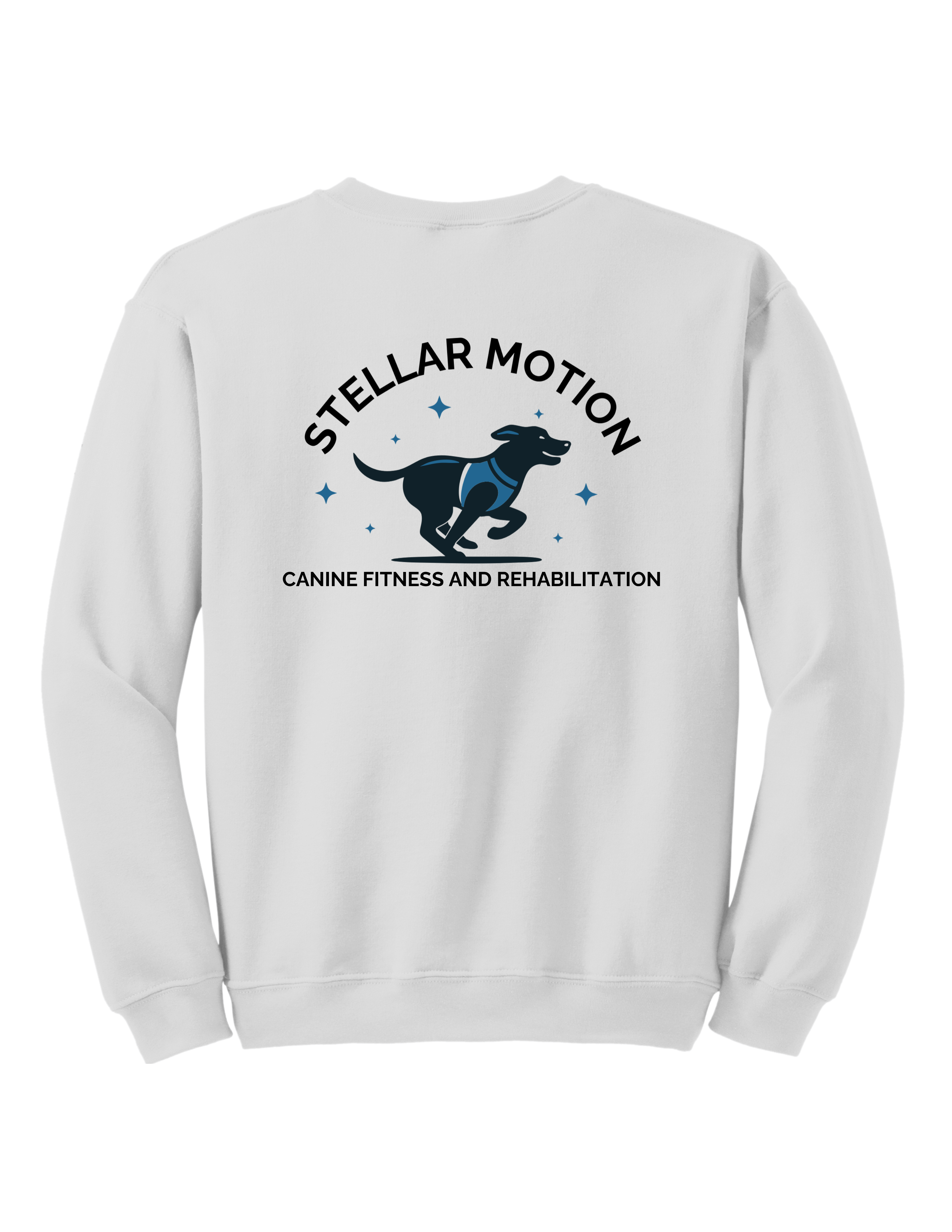 Stellar Motion White Crew