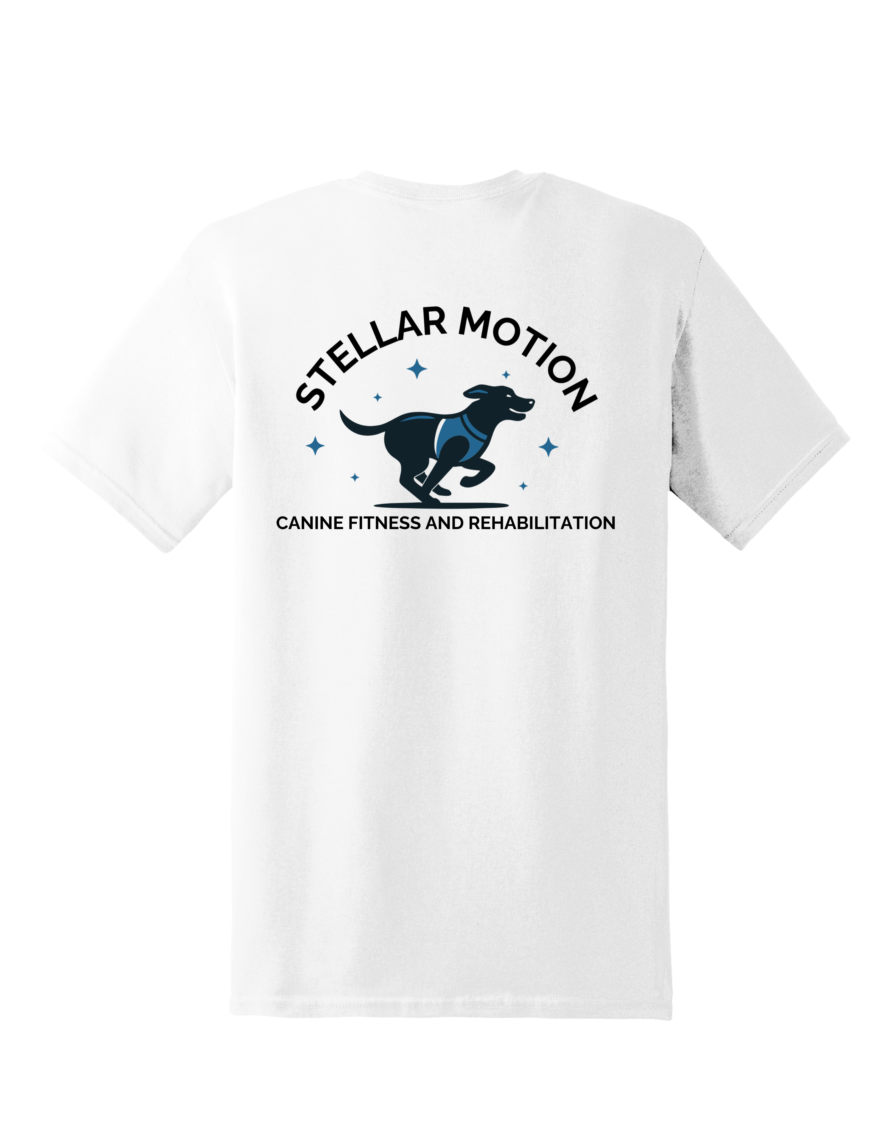 Stellar Motion White Tee