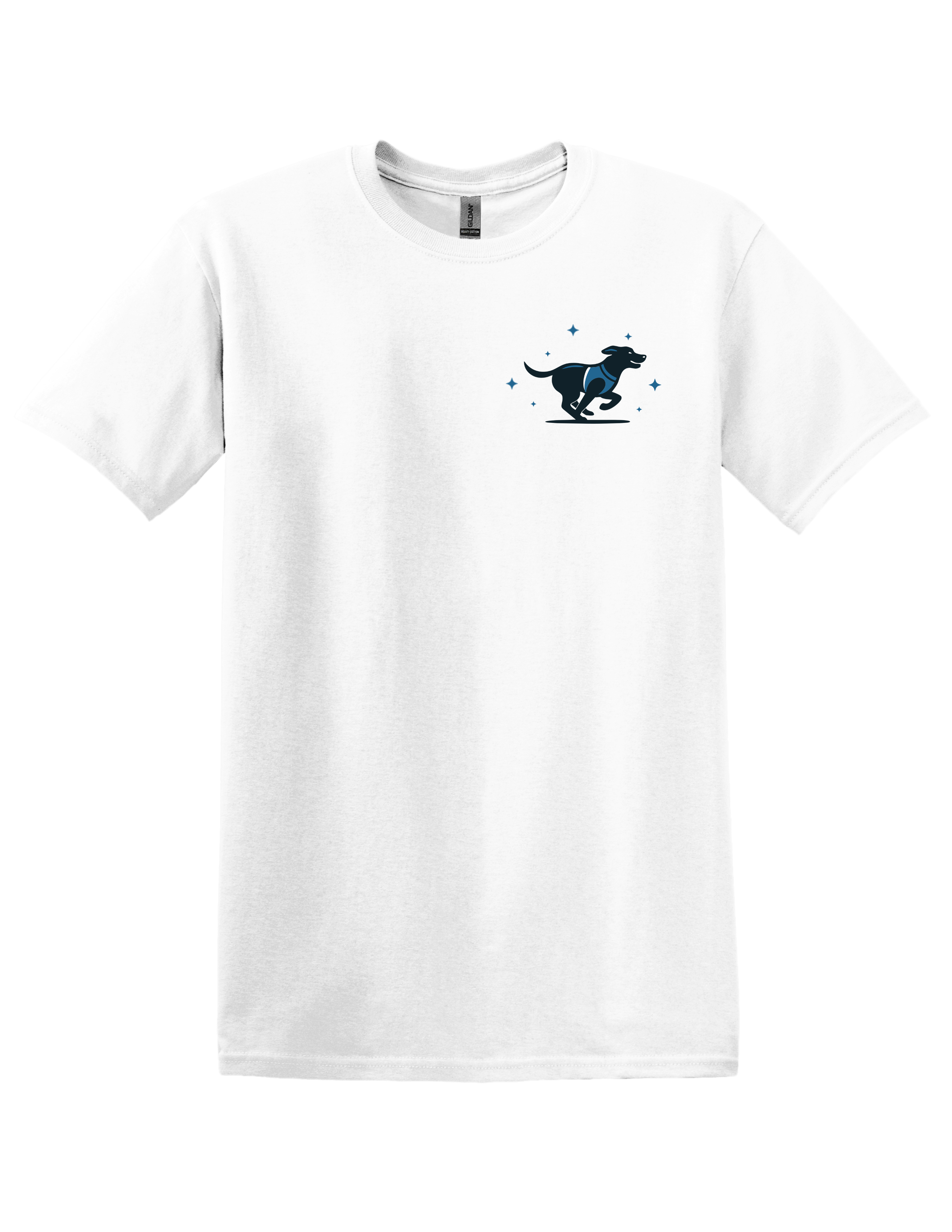 Stellar Motion White Tee
